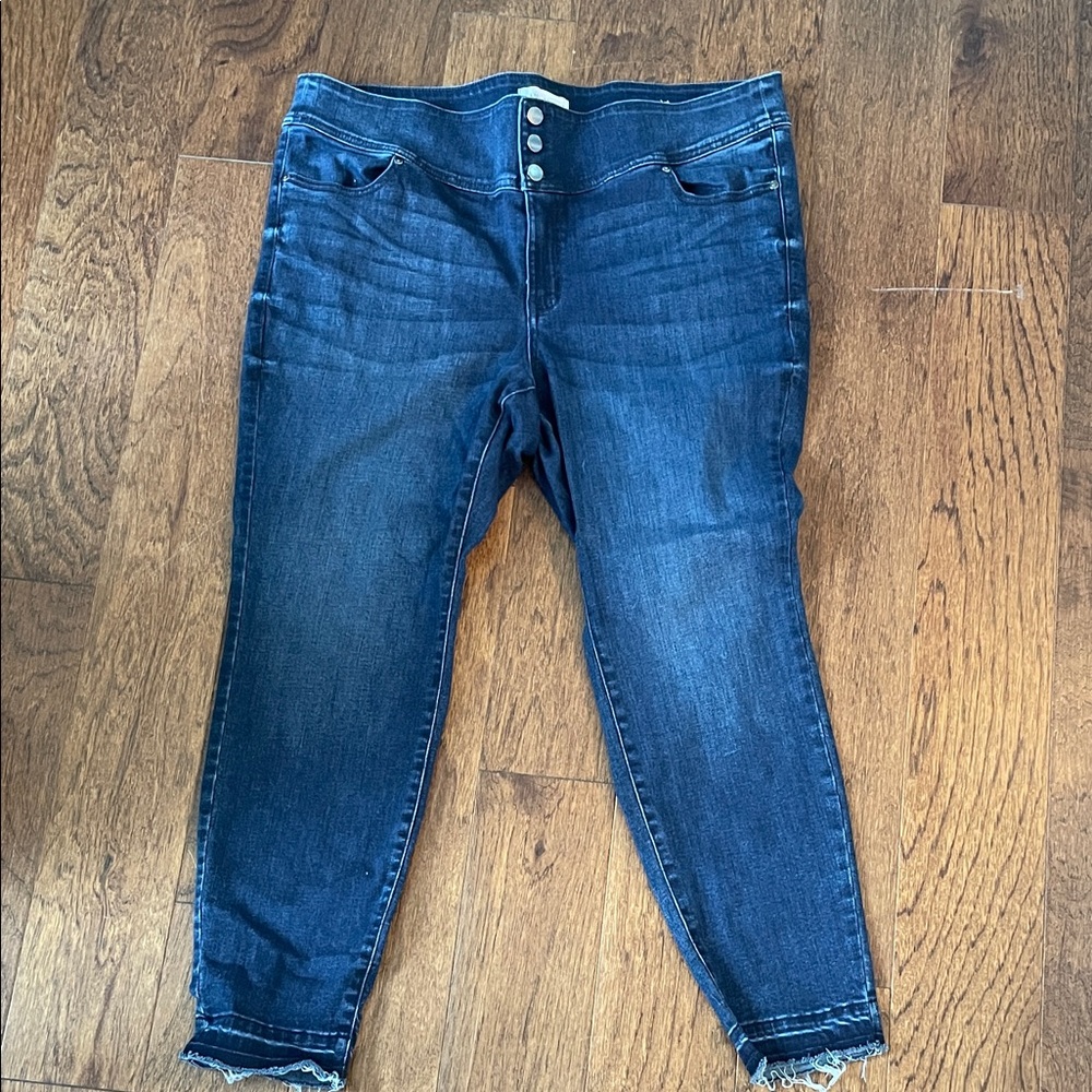 Lane Bryant Dark Wash Ankle Jeans